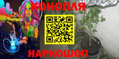 эйфоретик Гудермес