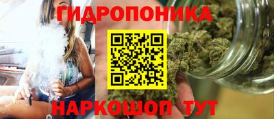 эйфоретик Гудермес