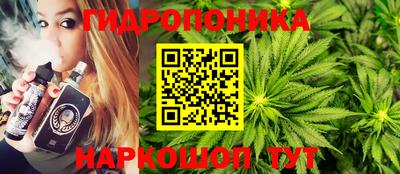 эйфоретик Гудермес