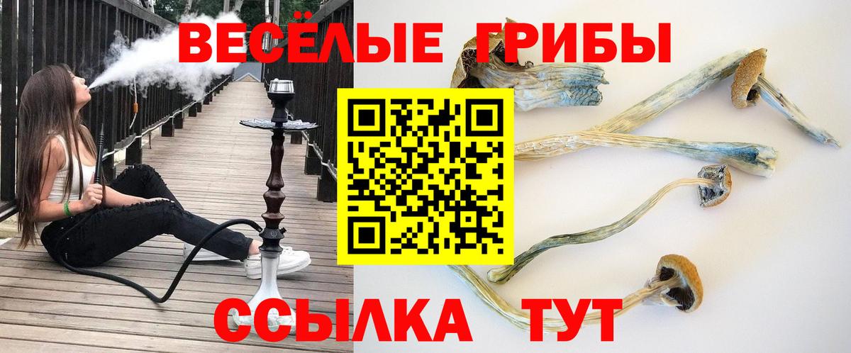 Псилоцибиновые грибы мицелий  Вход с VPN  Ртищево 