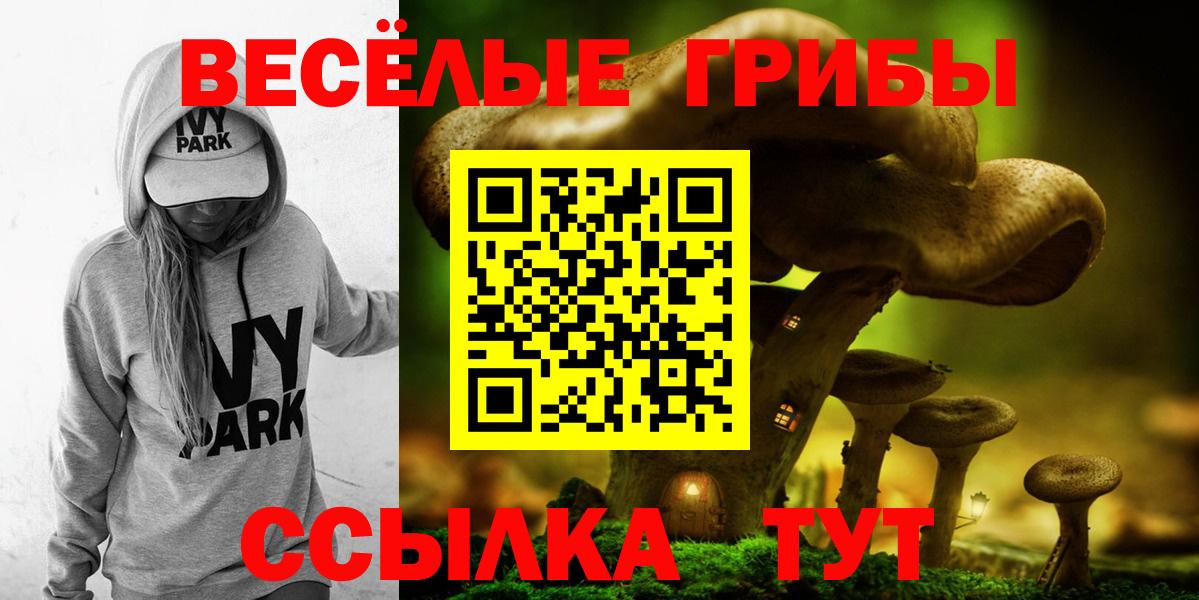 Галлюциногенные грибы MAGIC MUSHROOMS Ртищево