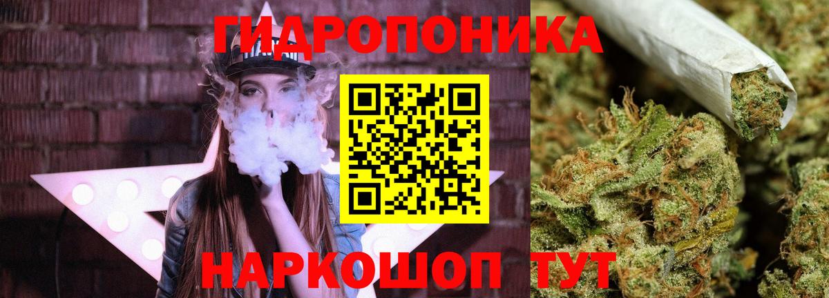 Конопля OG Kush Ртищево